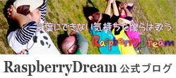 RaspberryDream blog